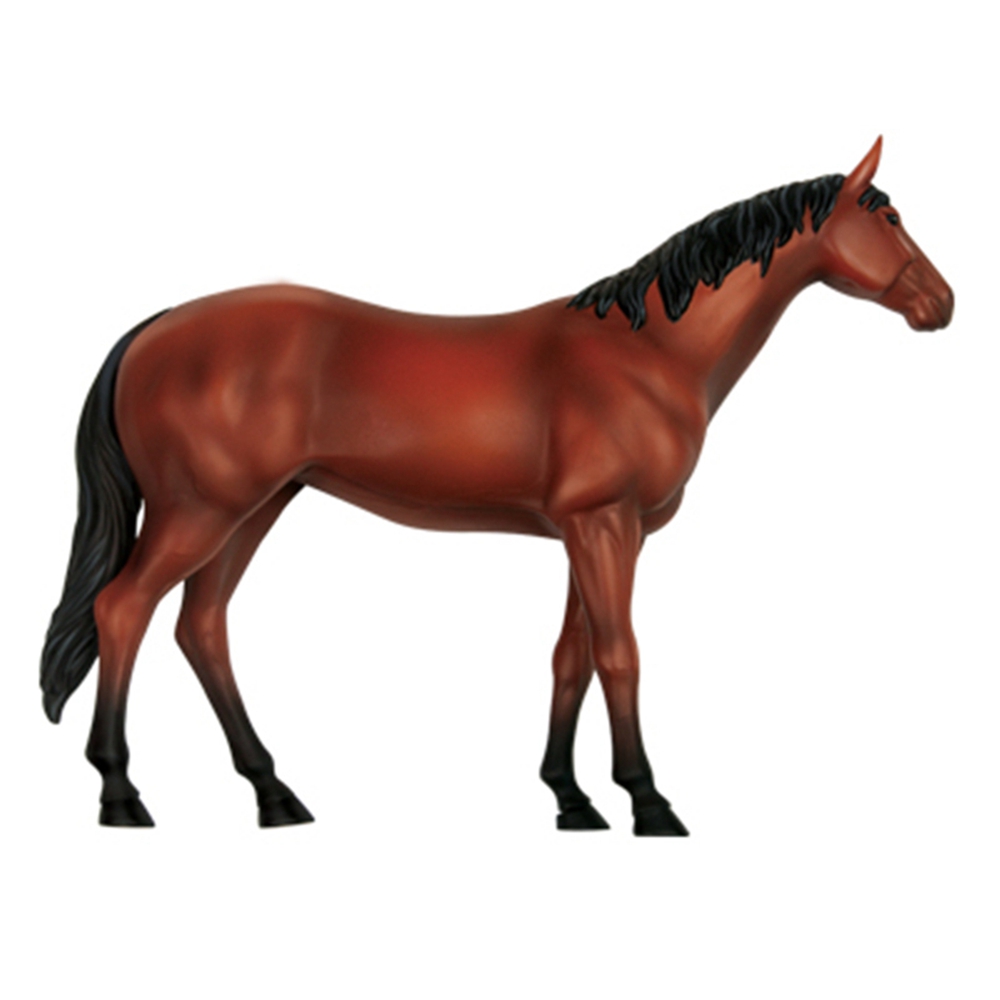 Animal Organ Anatomy Model 4D  - Science Toys Diy reseña y precio