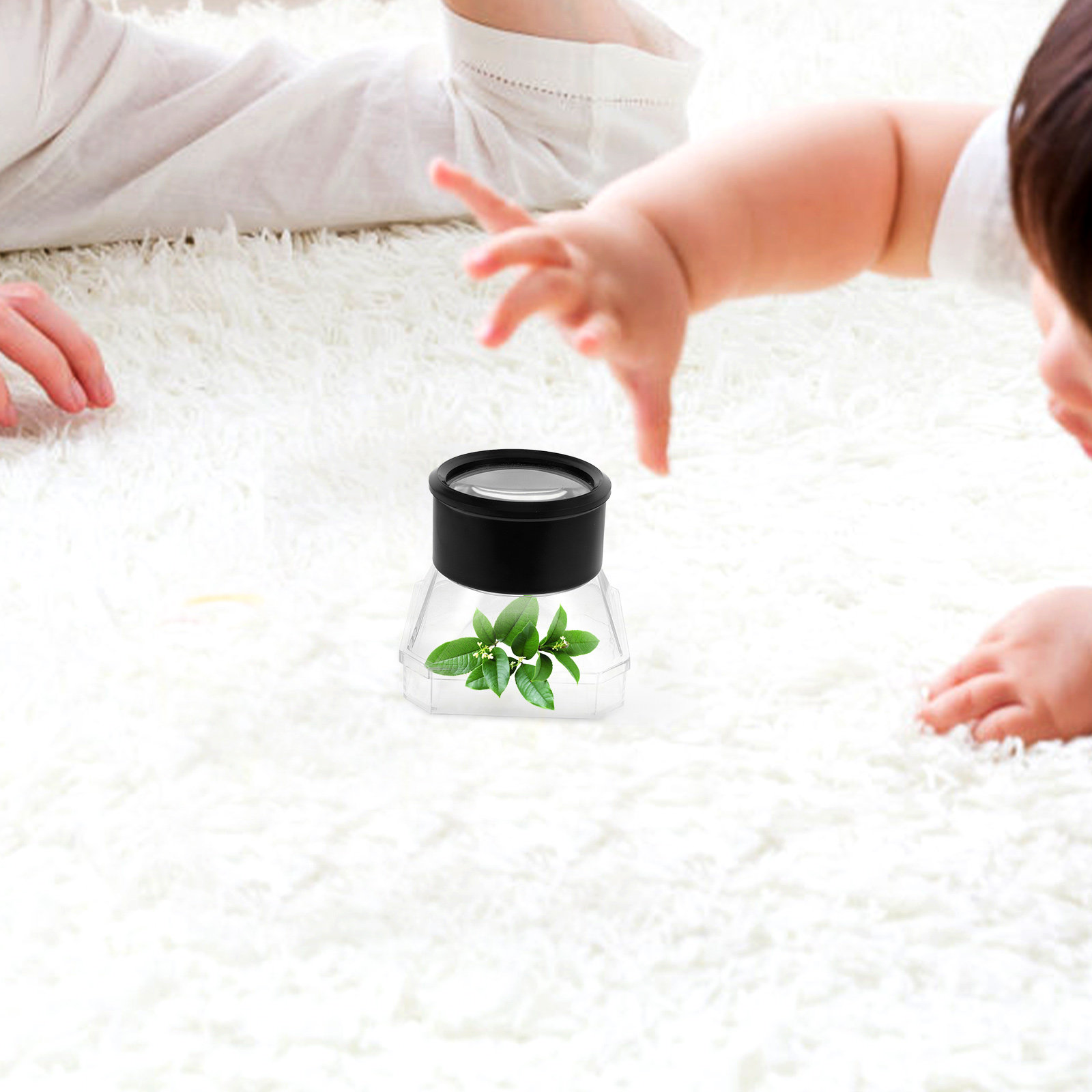 2Pcs Insect Magnifier Box Plas - Science Toys reseña y precio