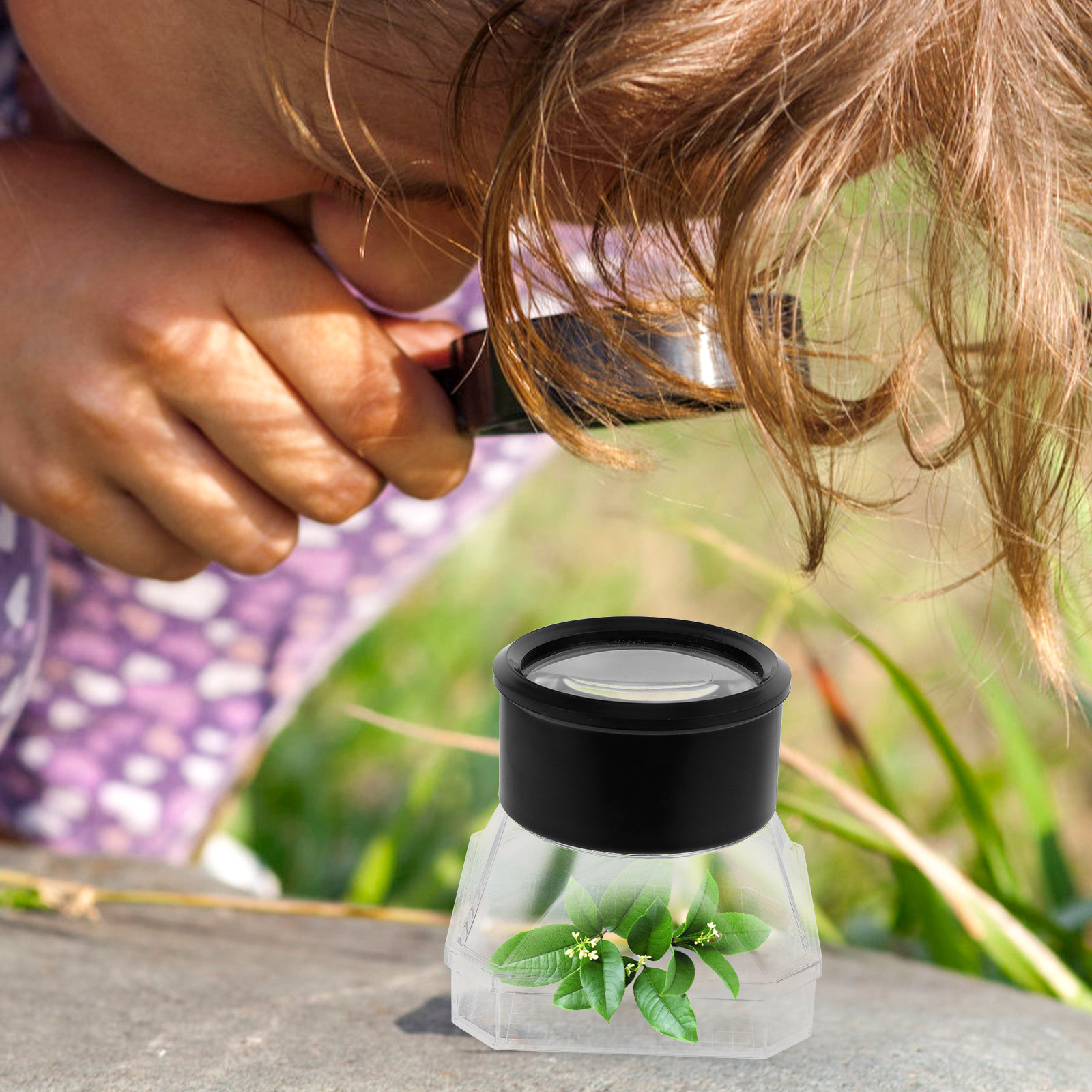 2Pcs Insect Magnifier Box Plas - Science Toys reseña y precio