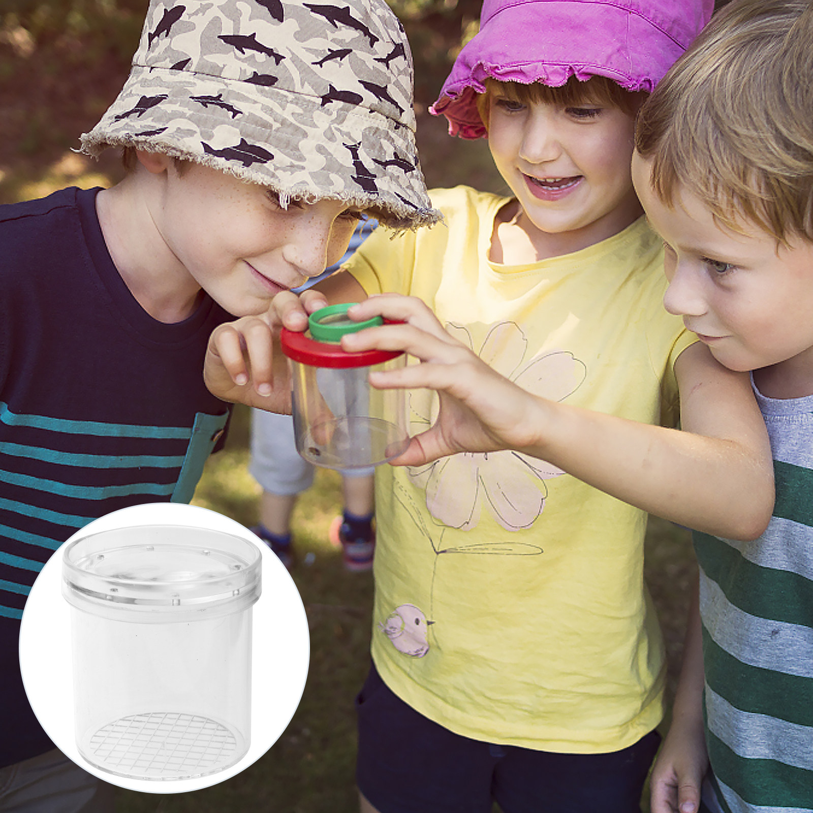 5Pcs Insect Viewer Box Kids Ex - Science Toys reseña y precio