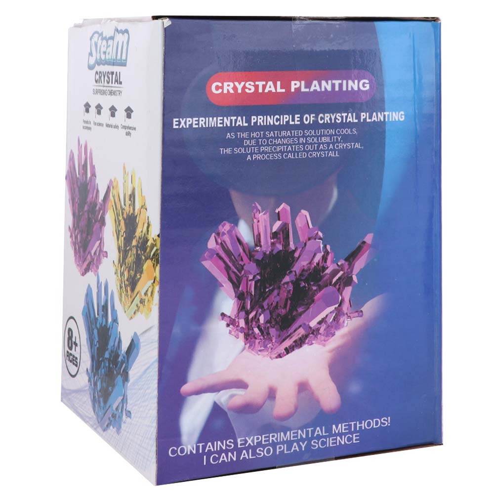 Grow a Crystal Crystal Growing - Science Project Diy reseña y precio