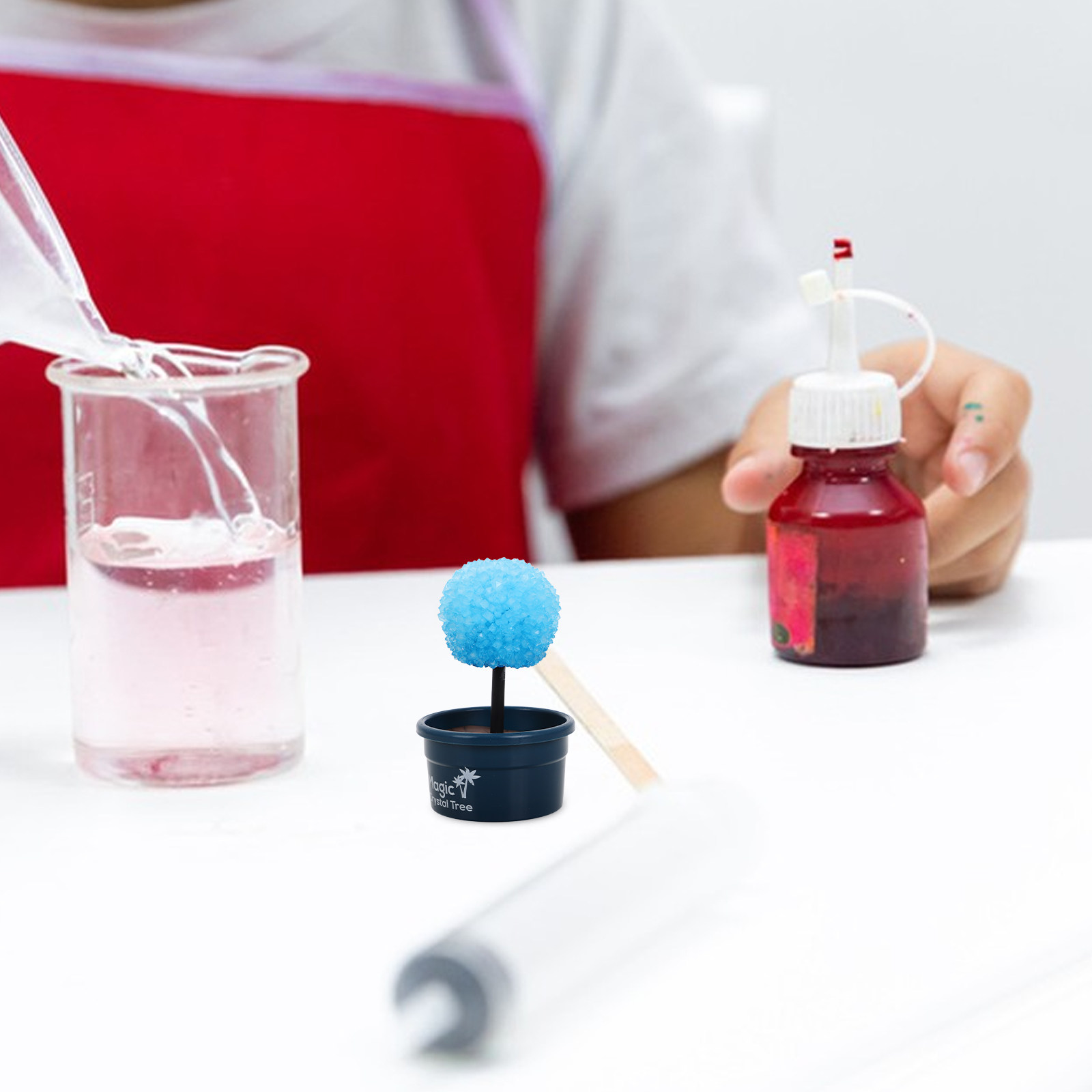 1Set Crystal DIY Science Kit F - Science Project Diy reseña y precio
