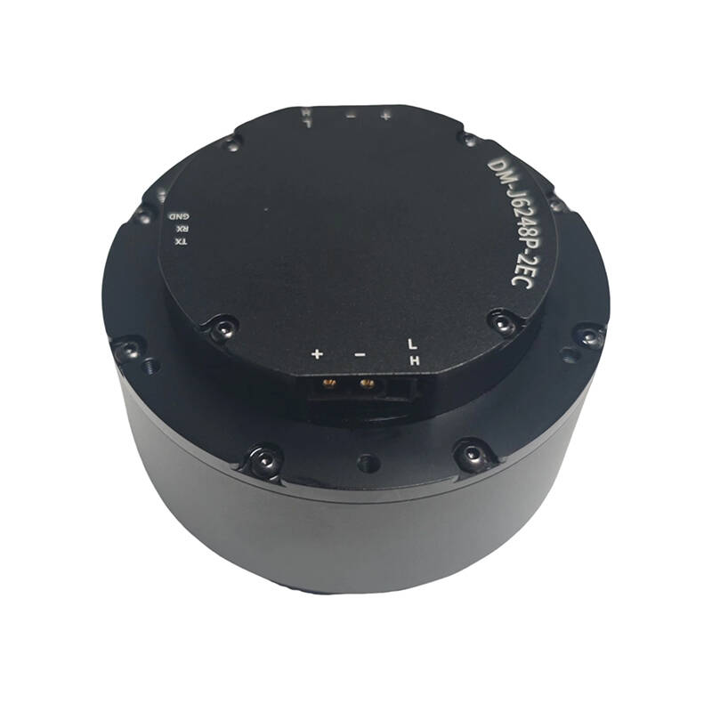 DAMIAO DM-J6248P-2EC Industria - Robot Arm Motor reseña y precio