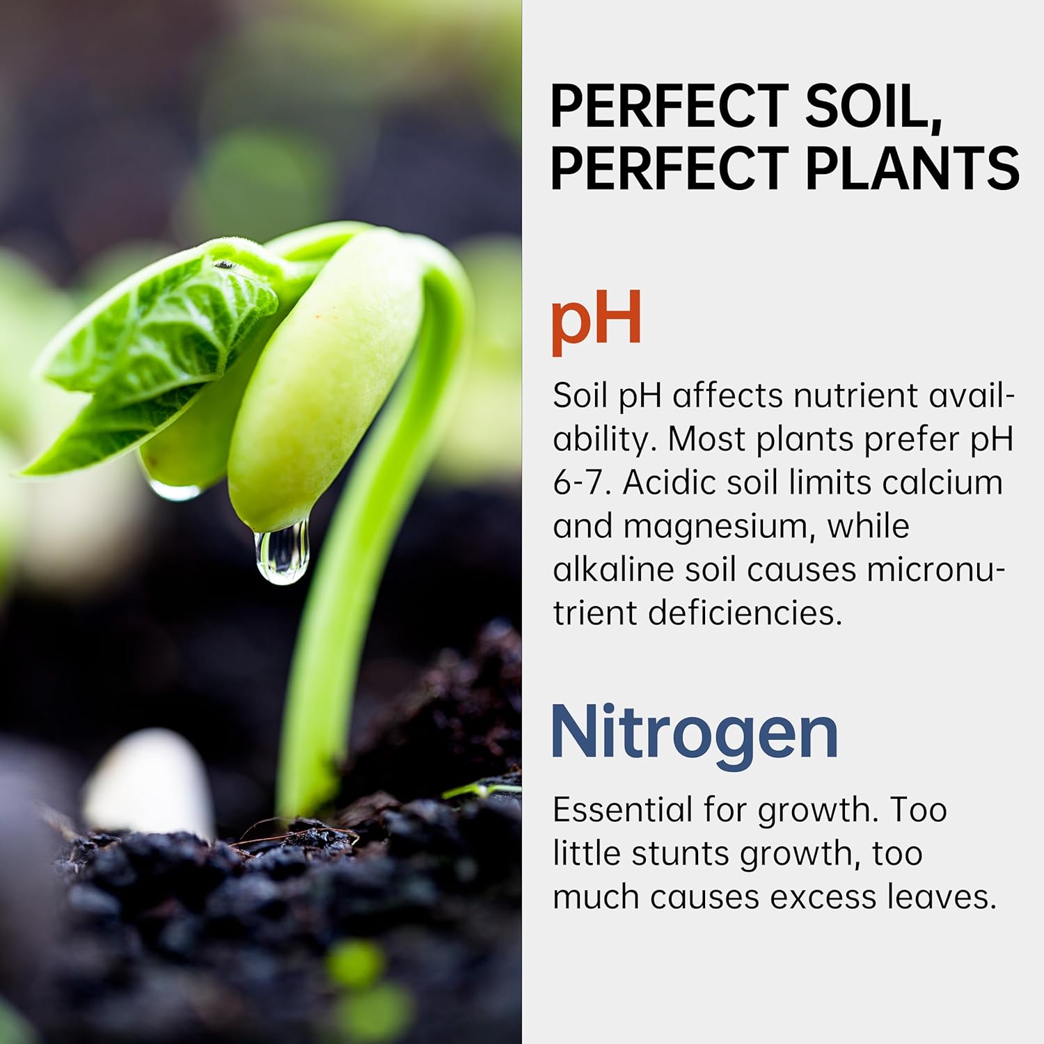 Soil Test Kit pH & Nitrogen Te - Ph Strip Test reseña y precio